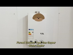 Aquecedor de água de gás de escape forçado com regulação de temperatura digital Alta eficiência 12L - 24L