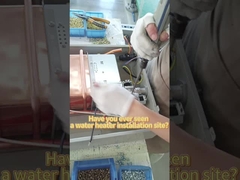 CE Aquecedor de água de gás de escape forçado 0,02 - 0,8pa Aquecedor de água quente de ignição electrónica