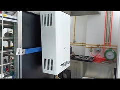 10L Capacidade aquecedor de água a gás sistema de combustível equilibrado aquecimento rápido